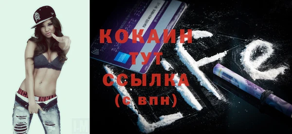 ПСИЛОЦИБИНОВЫЕ ГРИБЫ Гусь-Хрустальный