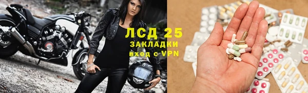 2c-b Гусев