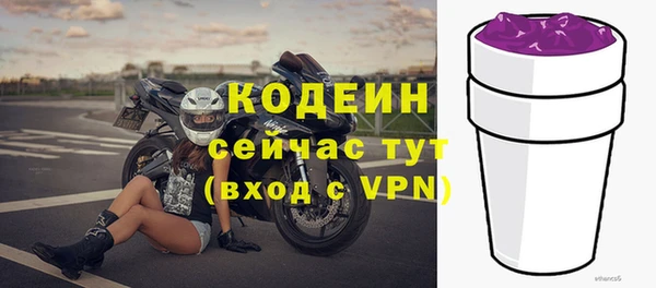 ПСИЛОЦИБИНОВЫЕ ГРИБЫ Гусь-Хрустальный