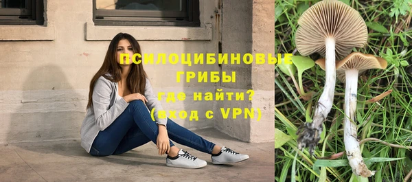 ПСИЛОЦИБИНОВЫЕ ГРИБЫ Гусь-Хрустальный