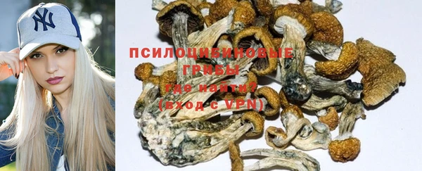 ПСИЛОЦИБИНОВЫЕ ГРИБЫ Гусь-Хрустальный