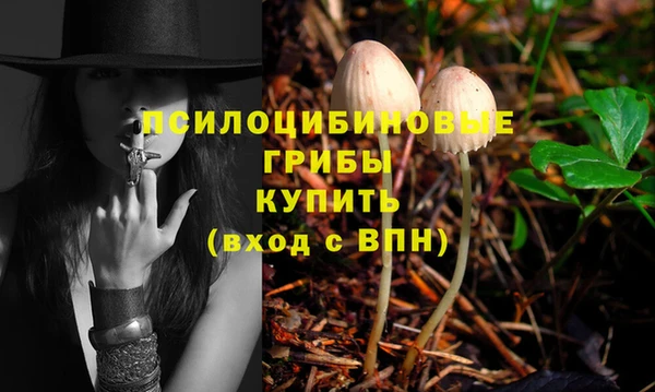 2c-b Гусев