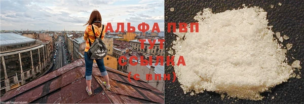 ПСИЛОЦИБИНОВЫЕ ГРИБЫ Гусь-Хрустальный